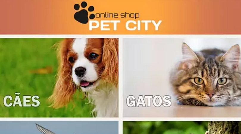 app pet city